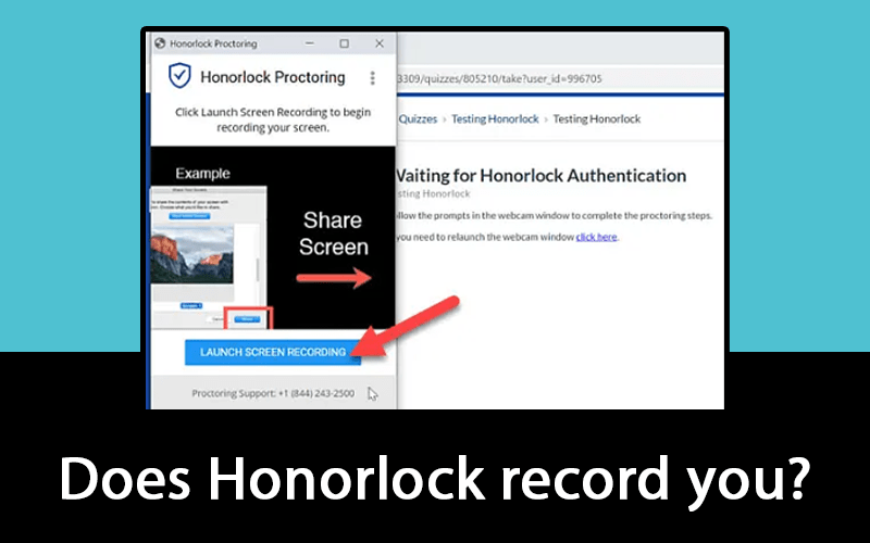 how to cheat on honorlock